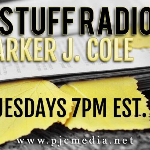 The Write Stuff Radio with Parker J. Cole: 2085 Interview