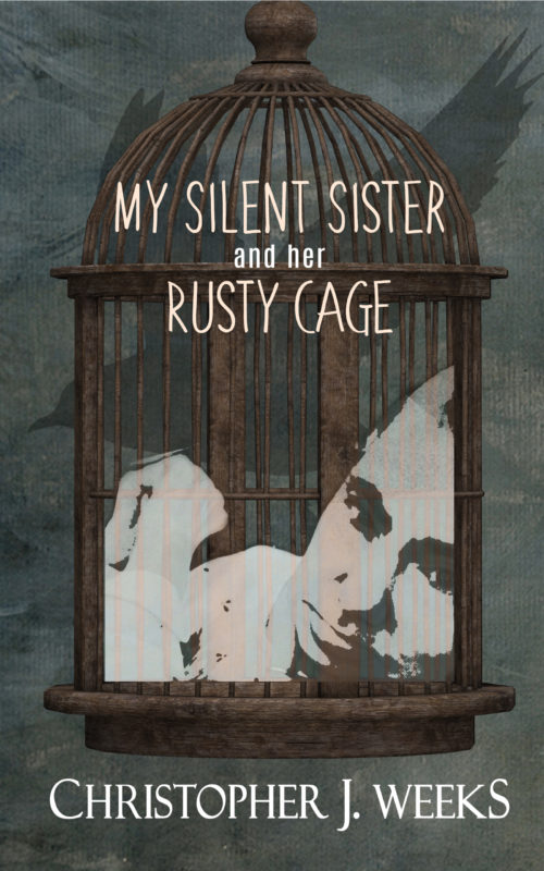 book review the silent sister