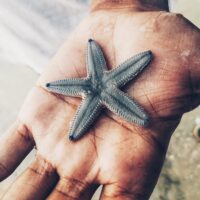 Saving Starfish (The Reason to Press On in 2023)