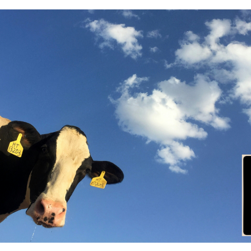 Series 60: Tragedy in the Church – – “Spoiled Appetites”